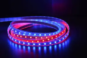 String Lights. Strip Lights 5m