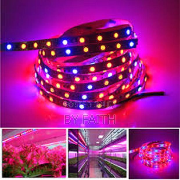 Strip Lights. Multicolor. 5m - main view