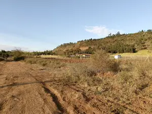 Prime Affordable 50x100ft Plots Buy Today Build Tomorrow