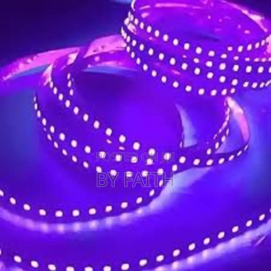 12v Led 5m RGB Led Strip Waterproof Snake Light With Remote*