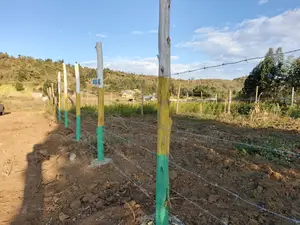 Prime Affordable Plots in Kikuyu Karai for 1.3m