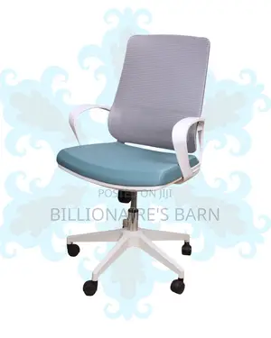 White Ergonomic Work Chair | Stable Base, Lower-back Support