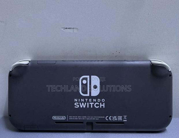 Neatly Used Nintendo Switch Lite - main view