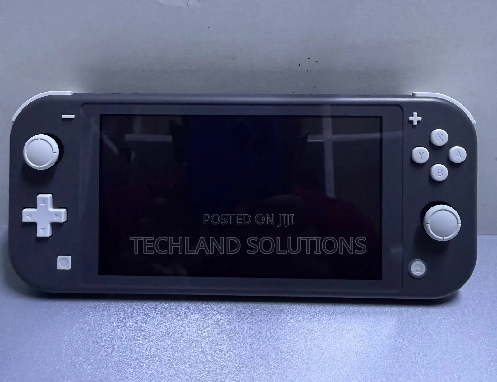 Neatly Used Nintendo Switch Lite