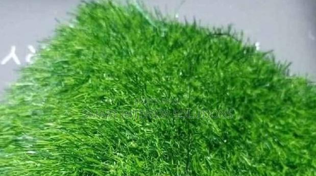 Event Green Grass Carpet- Nairobi, Tom Mboya