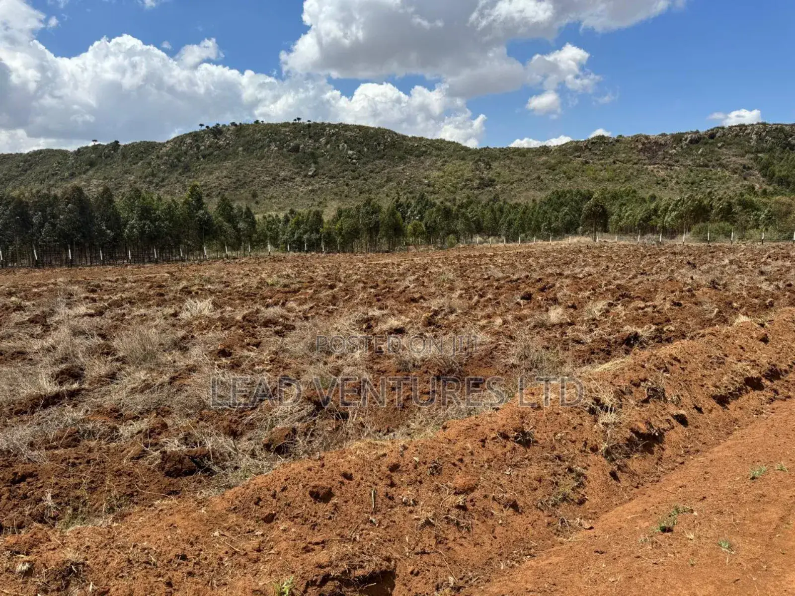 Plots at Kikuyu, Kamangu Ndiguini