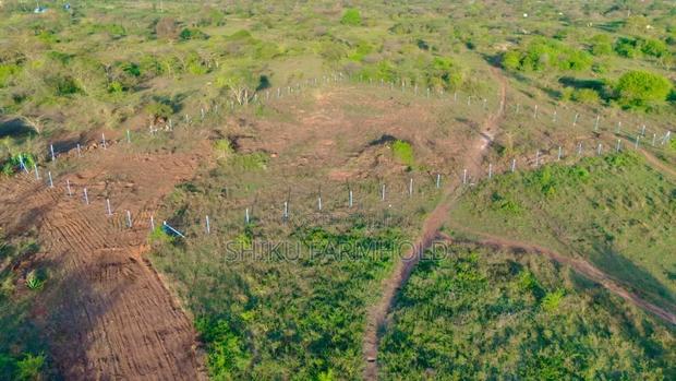 Prime Plot - thumbnail 3