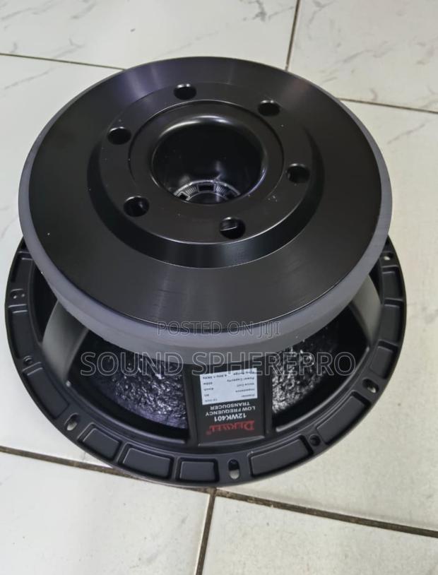 Derwel 12wk401 12 Inch Mid Speaker