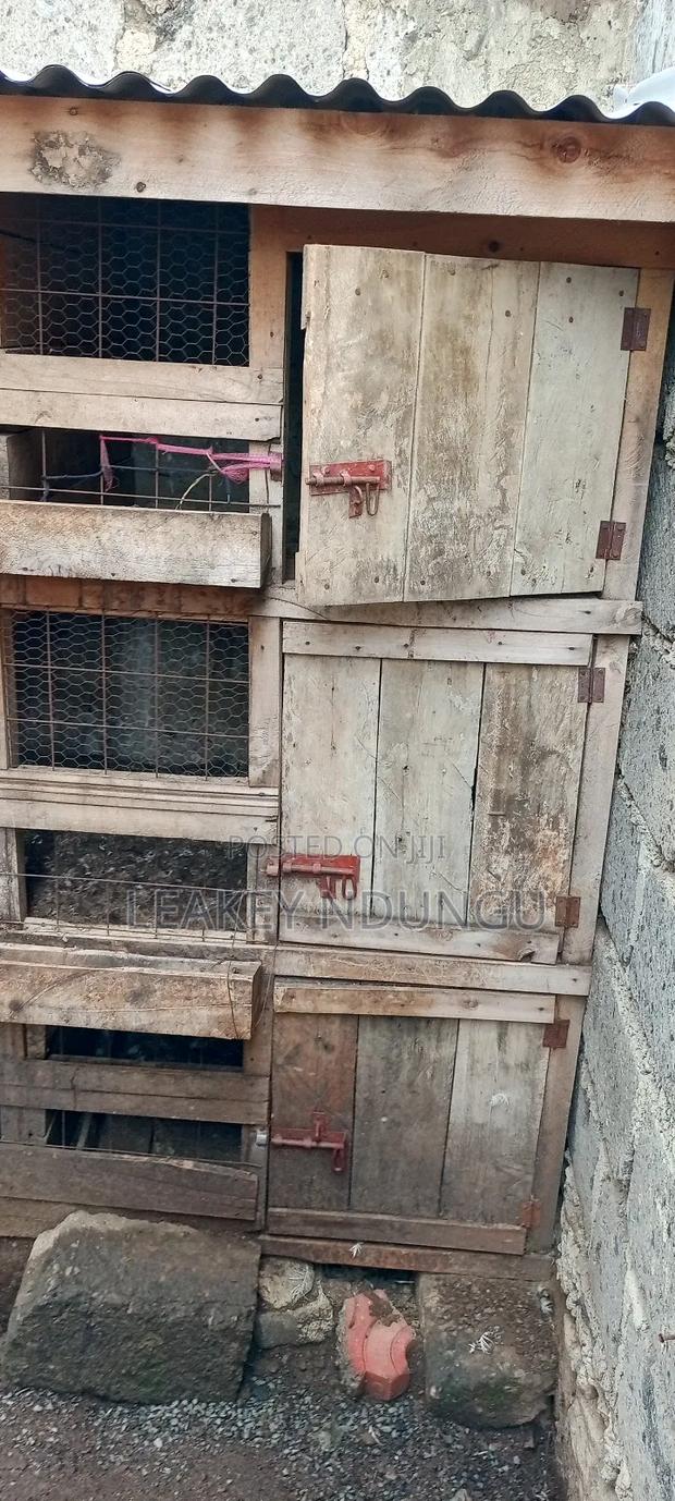 2bdrm House in Kimbo for rent - thumbnail 5