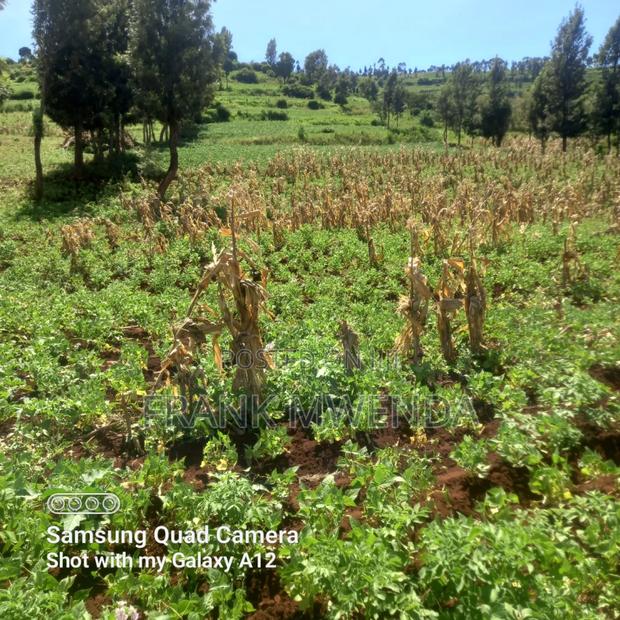 Plots for Sale in Meru - thumbnail 3