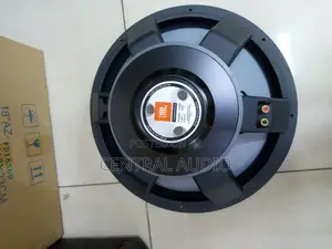 JBL 18inch Naked Speaker