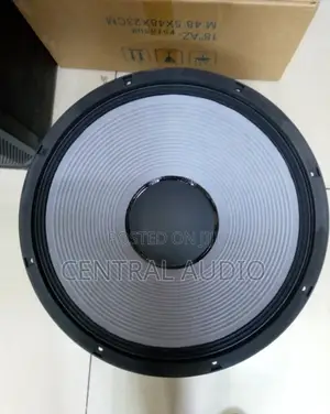 JBL 18inch Naked Speaker