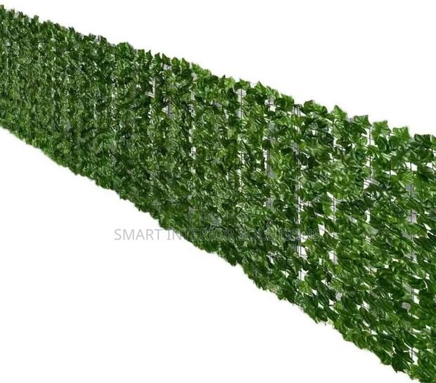 Space Artificial Fence - main view