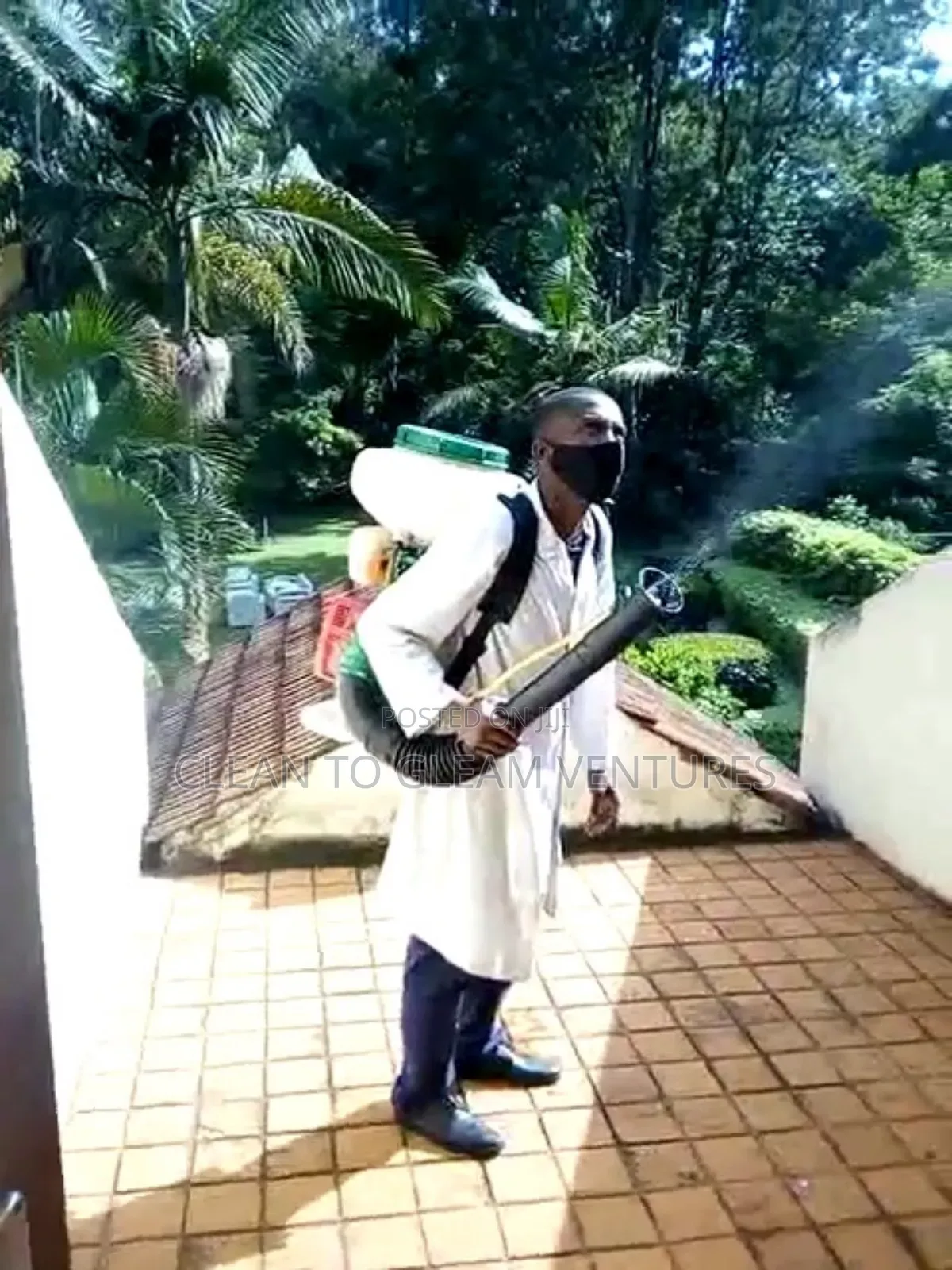 Fumigation and Pest Control Services With a Warranty