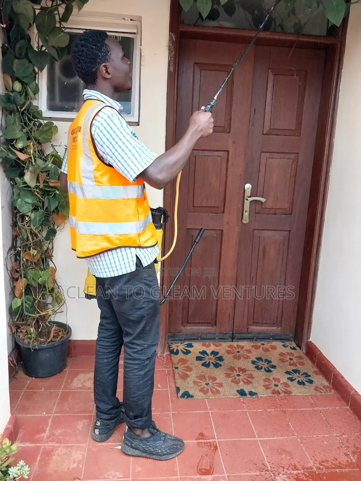Fumigation and Pest Control Services With a Warranty