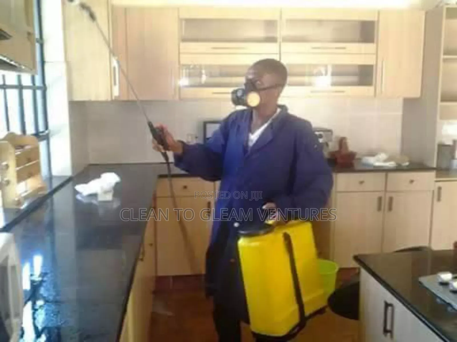 Fumigation and Pest Control Services With a Warranty
