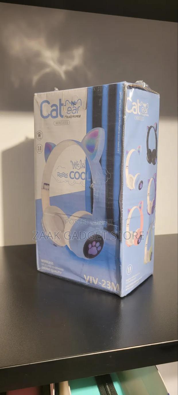 Cute Cat Headphones With Led Light