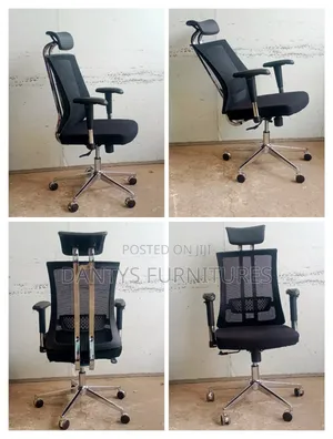 Orthopedic Office Chair, Ergonomic Chair