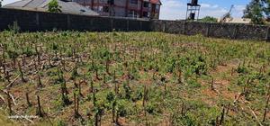 Prime 1⁄4 Plot for Sale Eldoret Racecours Inside Mariot - thumbnail 2