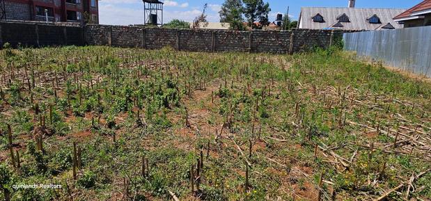 Prime 1⁄4 Plot for Sale Eldoret Racecours Inside Mariot - thumbnail 4