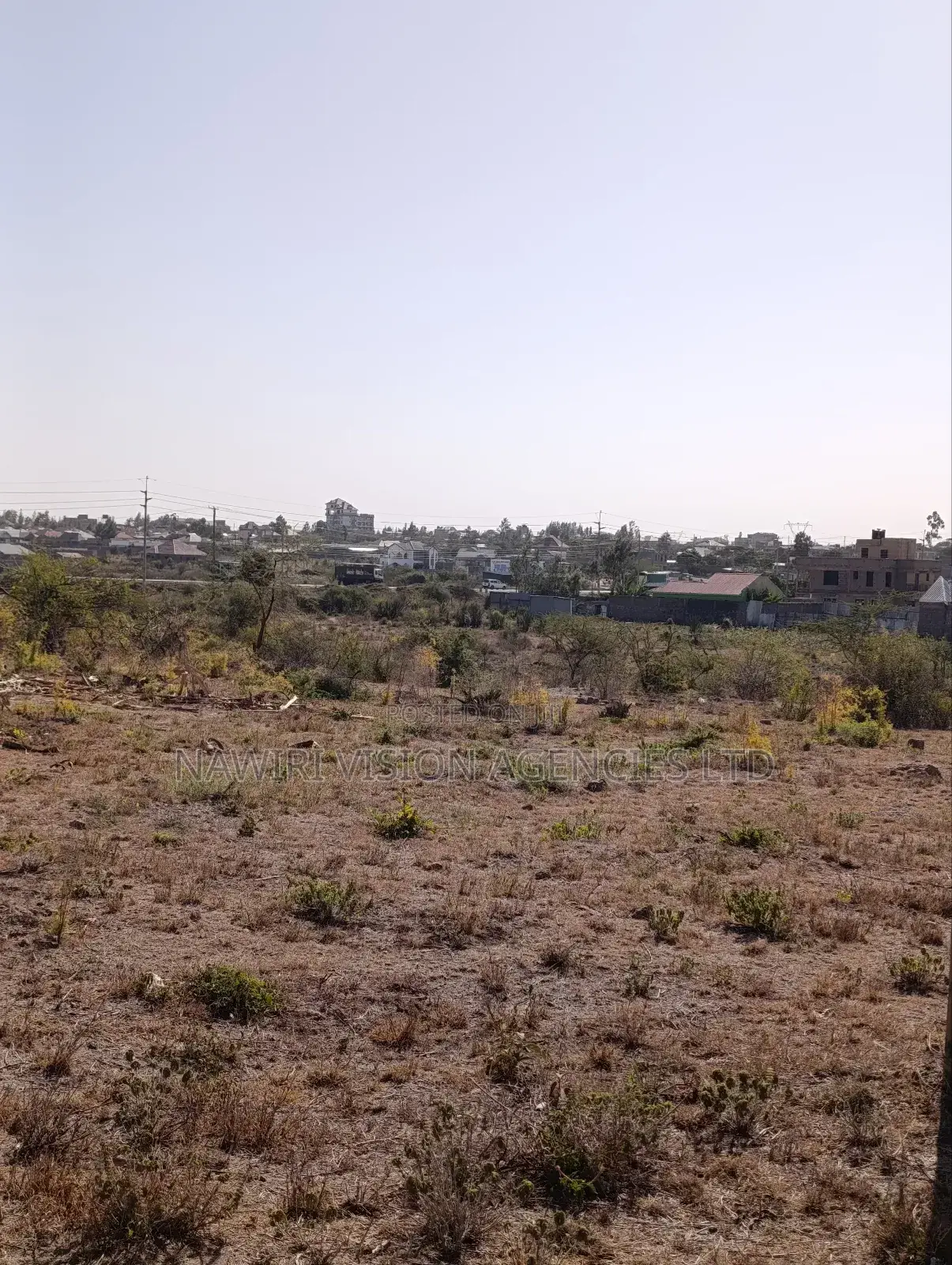 50*100 Plots for Sale in Malaa Commercial