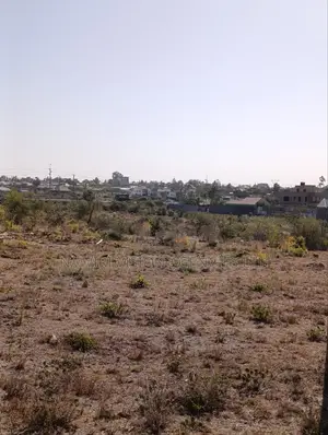 50*100 Plots for Sale in Malaa Commercial