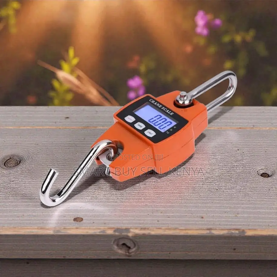 Durable Quality 300kgs Industrial Crane Scale Accurate Weighing
