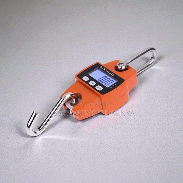 Portable Easy to Use 300kgs Hanging Hook Crane Scale Accurate Durable