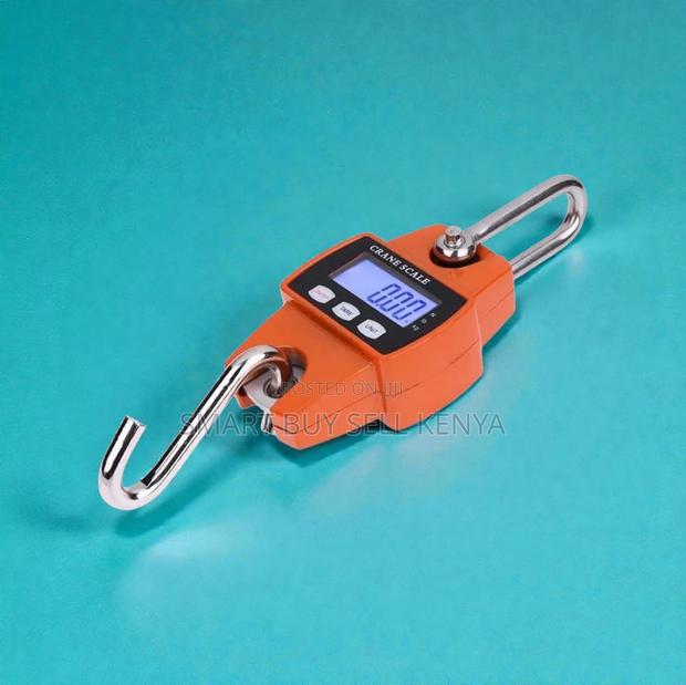 Quality Ensured 300kgs Hanging Crane Scale Portable and Easy to Use