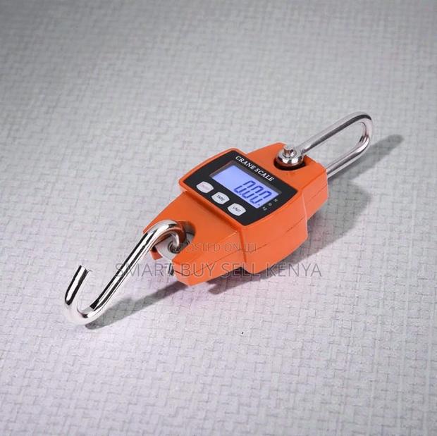 High Performance 300kgs Hanging Hook Crane Scale Accurate and Durable