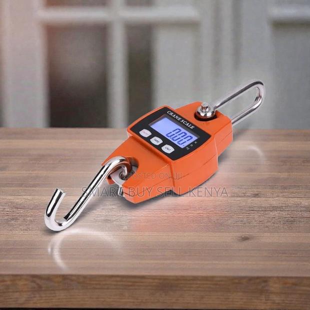Ultra High Quality 300kgs Hanging Hook Crane Scale With LCD Display - main view