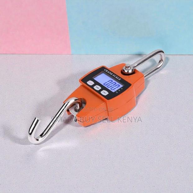 Long Term Reliability 300kgs Hanging Hook Crane Scale LCD Display - main view