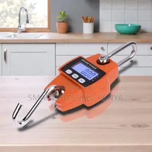 Lightweight Design 300kgs Hanging Hook Crane Scale Accurate N Durable