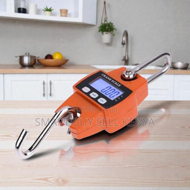 Efficient and Convenient 300kgs Portable Hanging Crane Scale Accurate