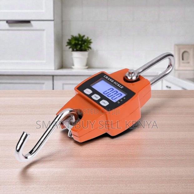 Inexpensive 300kgs Hanging Crane Scale Portable Easy to Use Accurate