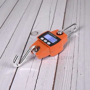 300kgs Mini Crane Hook Scale LCD Display High Performance Reliable