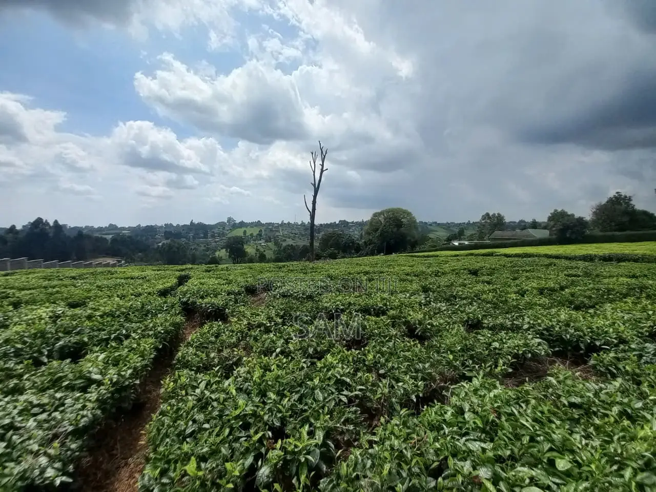Land for Sale in Githunguri