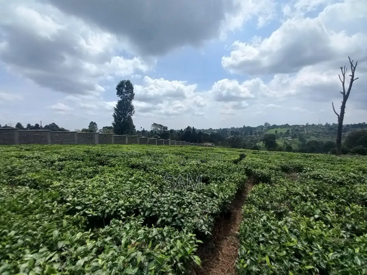 Land for Sale in Githunguri