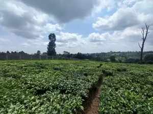 Land for Sale in Githunguri