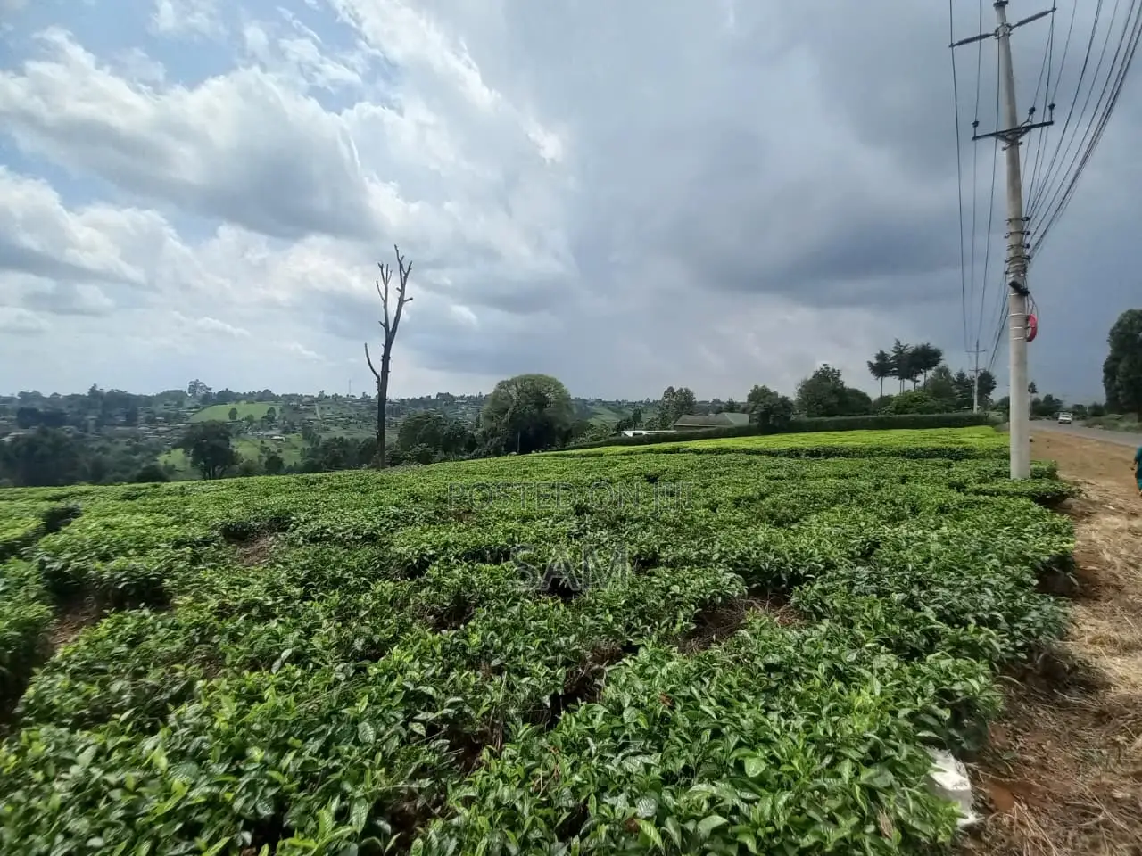 Land for Sale in Githunguri