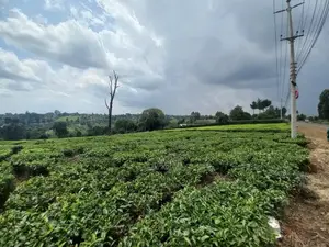 Land for Sale in Githunguri
