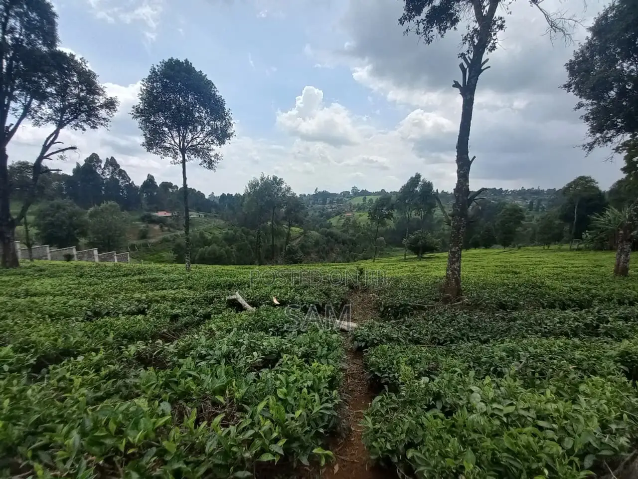 Land for Sale in Githunguri