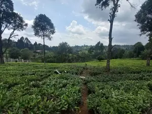 Land for Sale in Githunguri