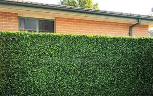 Botanical Hedge Panels - thumbnail 2