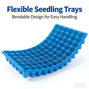 Carrot Tray For Plantation