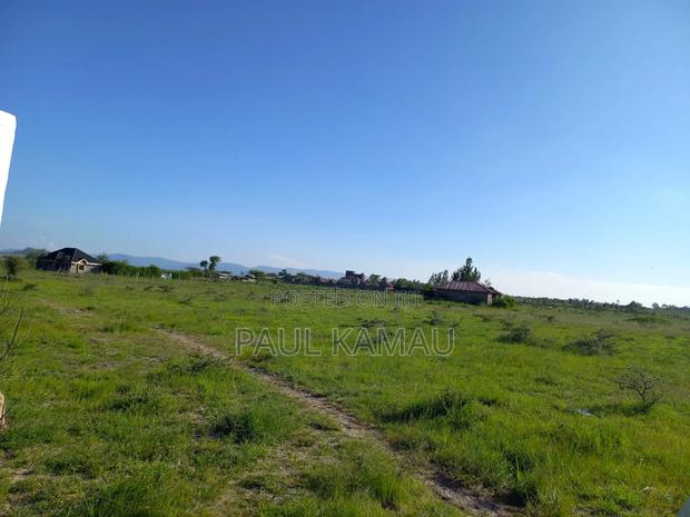 Ahadi Gardens - thumbnail 4