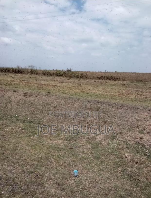 Plot for Sale - thumbnail 2