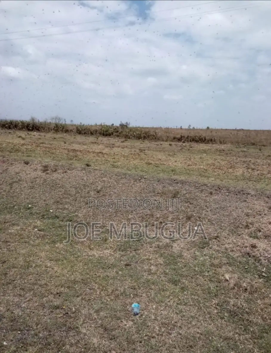 Plot for Sale