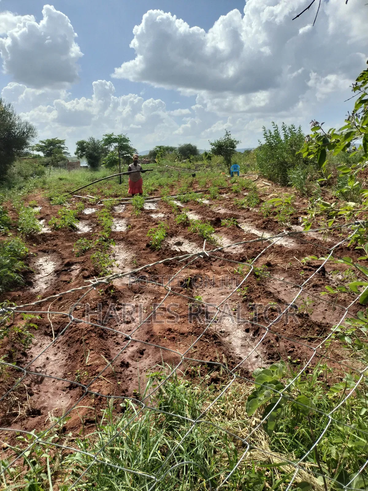 Kithioko Plots for Sale