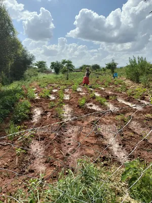 Kithioko Plots for Sale